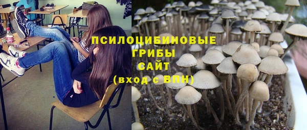mix Новодвинск