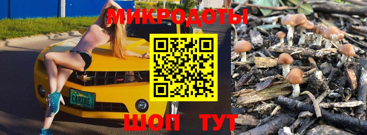 закладка  Галлюциногенные грибы Psilocybine cubensis  Вход с VPN  Североморск  Псилоцибиновые грибы мухоморы 